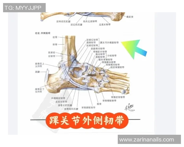 博主解读廷伯伤情或为外侧踝关节扭伤至少需休息三周