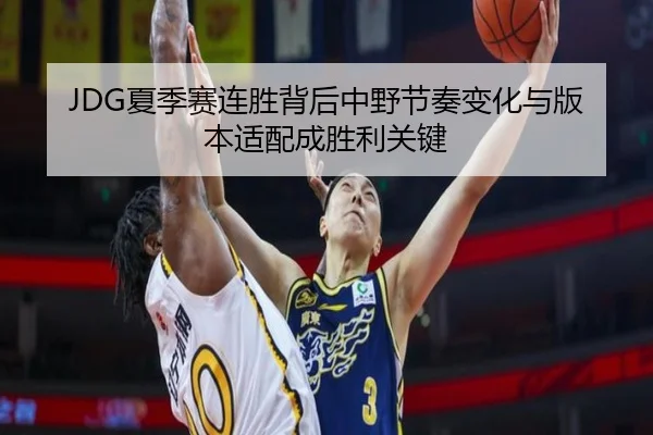 JDG夏季赛连胜背后中野节奏变化与版本适配成胜利关键