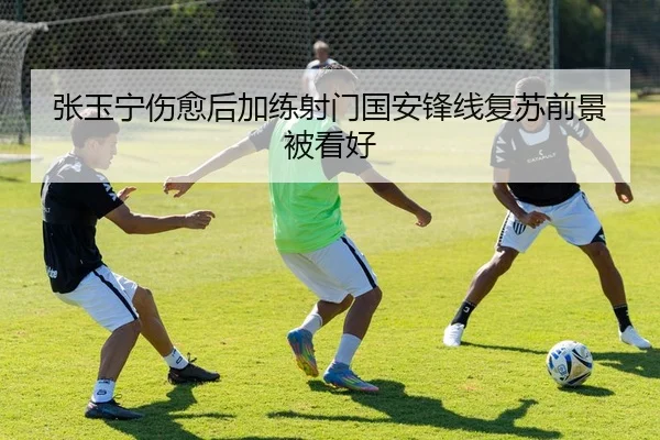 张玉宁伤愈后加练射门国安锋线复苏前景被看好